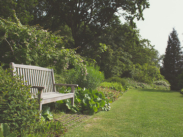 Unterhalt von Gartenanlagen in
            Bannwil
            